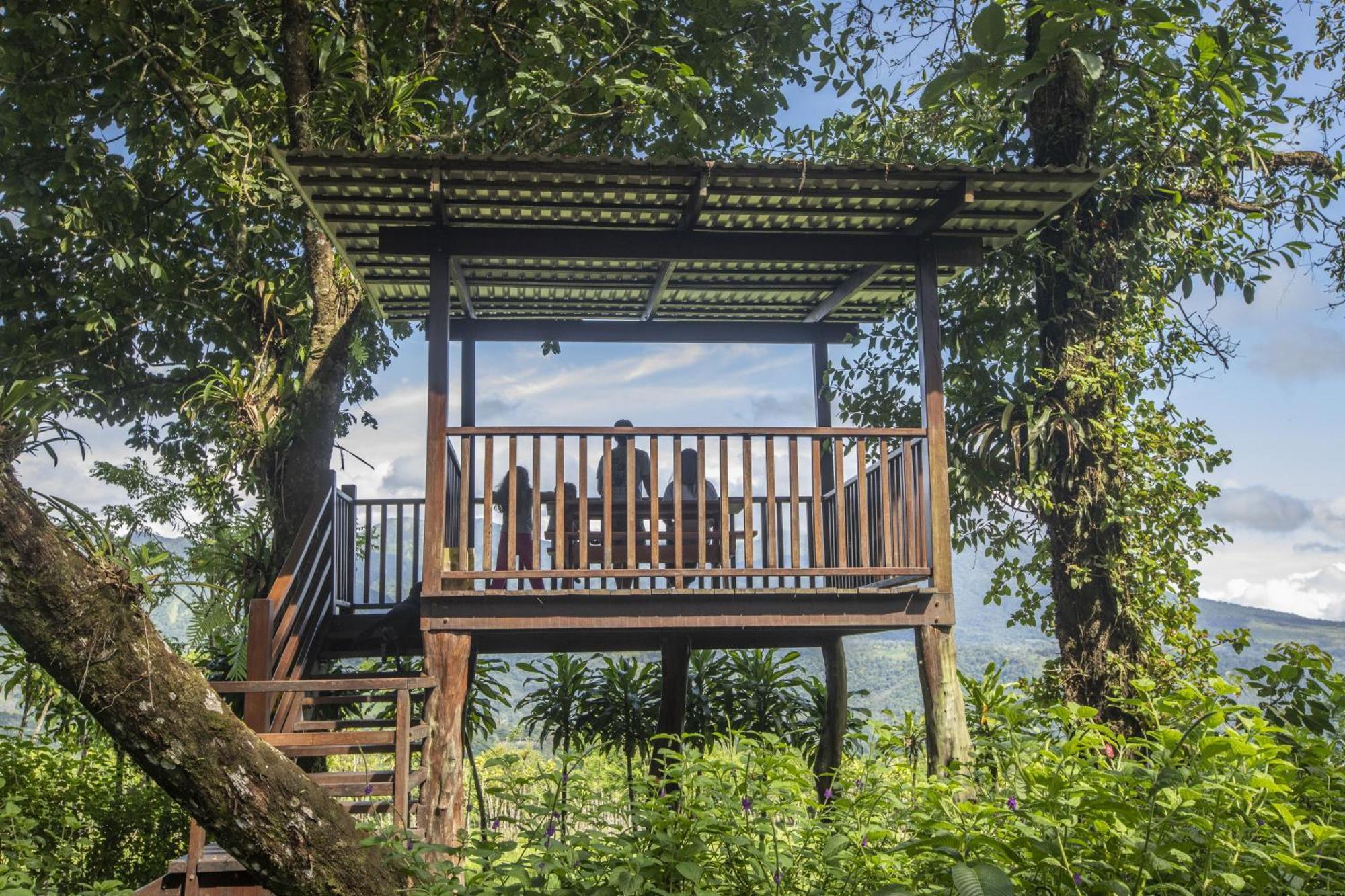 "Hana'S Celeste Retreat" Large Modern Villa Sleeps 6 On 20 Acres Of Nature! Bijagua Εξωτερικό φωτογραφία